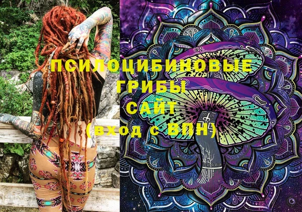 гашик Белокуриха