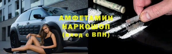 гашик Белокуриха