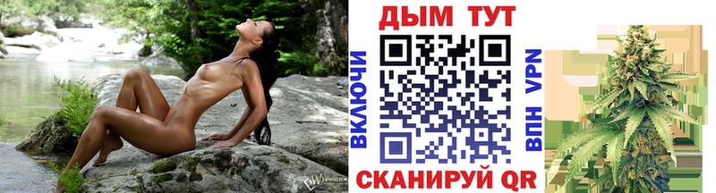 Купить где  Вытегра  Бошки марихуана OG Kush 